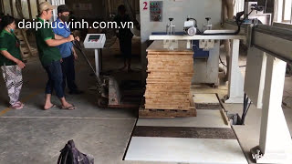 MÁY ĐẨY VÁN TỰ ĐỘNG (tiếp phoi cho máy chà nhám)