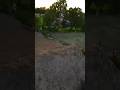 Double Flip Or Wha Mtb Bike Doublebackflip Shorts