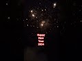 Happy New Year 2024 Short Video