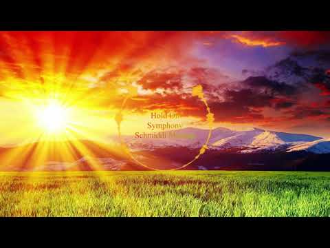 Clean Bandit vs. Martin Garrix/Matisse and Sakdo - Hold on Symphony (Schmiddi Mashup)