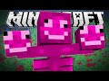 Minecraft | MINECRAFT HAS GONE CRAZY!! Minecraft | MINECRAFT HAS GONE CRAZY!!