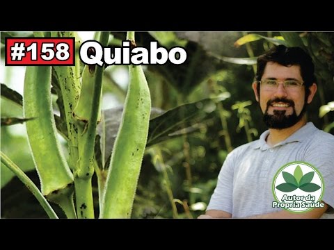 Author of your own Health - Okra [Diabetes, pregnant women, gastritis, muscles]