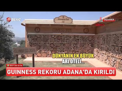 BEYAZ TV | Dünyanın En Büyük Arı Oteli