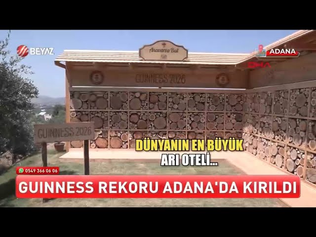 BEYAZ TV | Dünyanın En Büyük Arı Oteli
