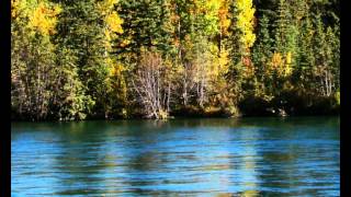 Jimmy Rose - Misgiving