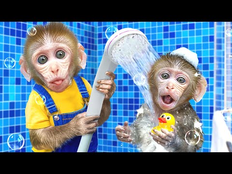 Macaco Rio brinca com Banheira de Espuma Mágica com Macaquinho | Animal Monkey Rio