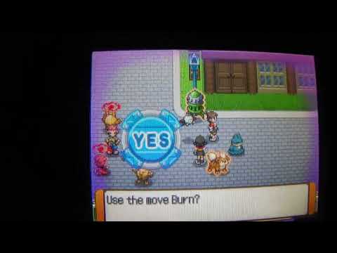 Pokémon Ranger Shadows of Almia Older Brother