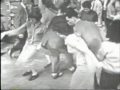 Danny and The Juniors - At The Hop 