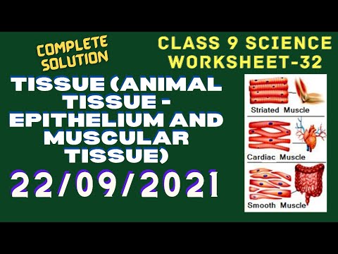 #9thClassScienceWorksheet Science worksheet-32 Tissue (Animal tissue Epithelium and Muscular tissue)
