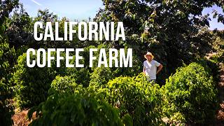 We raid a coffee farm ft. FRINJ