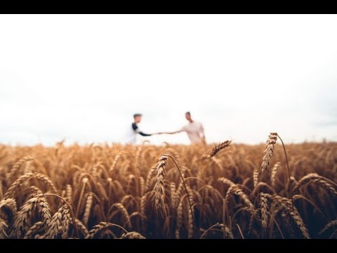 Comunità del pianeta: biodiversità, cibo e diritti