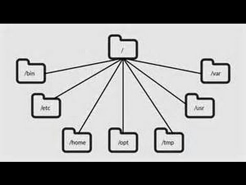 Learning the Linux File System