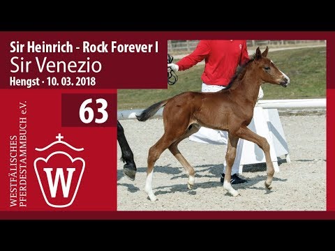 63 Sir Venezio HF v. Sir Heinrich - Rock Forever I