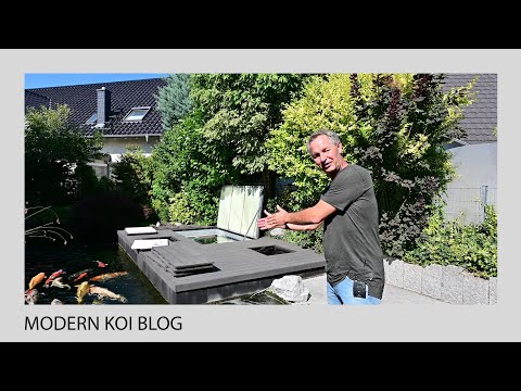 Modern Koi Blog #4869 - Wolfgang's drum filter system with matching hydraulics