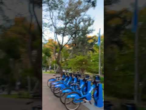 Realmente es maravillosa la plaza Castelli de Belgrano R #walking #shorts #belgrano #buenosaires