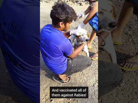 World for All turns 13 💚