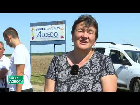 ALCEDO – Ziua Porumbului 2025 02 09 2025