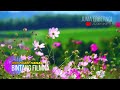 LAGU KARO POP BINTANG FILMNA JHON PRADEP TARIGAN