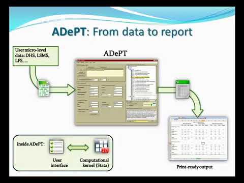 About Adept