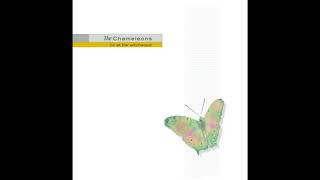 the chameleons soul in isolation live