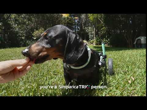 Simparica TRIO