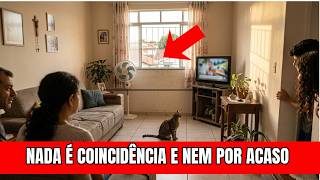 O segredo que estes animais carregam quando APARECEM na sua CASA!