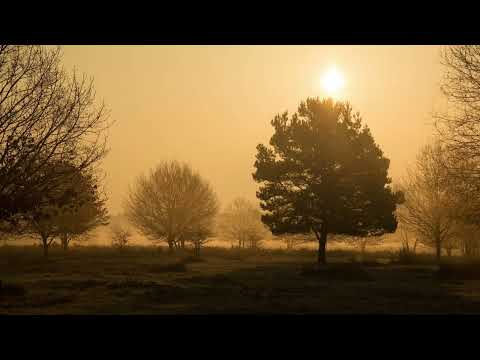 Kartky X Paluch - ''Gdybyś kiedyś ' - ( Suchar Blend )