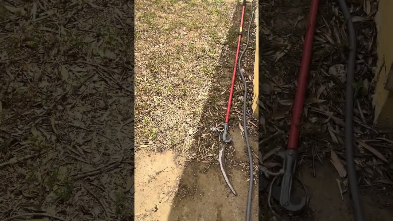 How to connect garden hose to your sprinkler system for lazy back yard watering