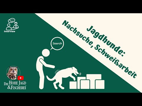Schweißarbeit - die Tricks vom Profi 🐕; Die Hohe Jagd & Fischerei unterwegs