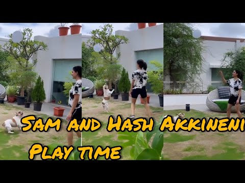 Samantha Akkineni Playing with her Dog #HashAkkineni | Creative Gallery | #ChayAkkineni #Samantha