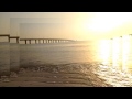 "Dynamite Interlude" Fan Video