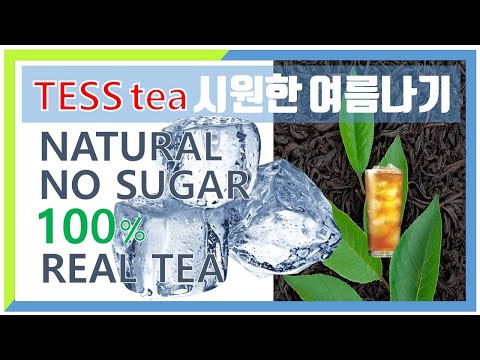 테스차(tess tea)