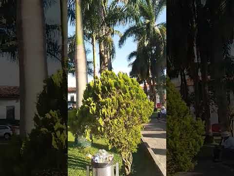 Hermoso parque de Guadalupe Santander #viral #viralvideo #video #viralshorts #viralshort #viralreels