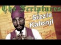 Sizzla - What a Whoa (The Scriptures 2011)