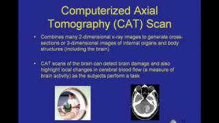 Neuroscience and the Decade of the Brain