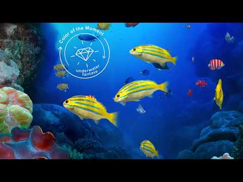 Underwater Fantasy サムネイル
