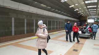 Siberia. Novosibirsk. Metro station Berezovaya Roscha   Fragment БР А5