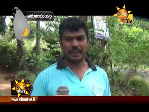 Hiru News 7.00 PM August 21, 2015