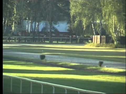 LL, 6. 7. 2015, 7. dostih - HANDICAP SPOLEČNOSTI KENOX