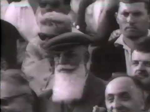 UEFA EC 1959 Final - Real Madrid CF vs Stade De Reims - Highlights