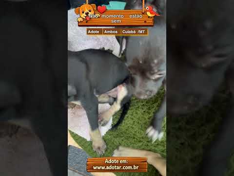 Vídeo de Não momento estão sem nomes 
