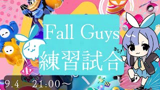 【FallGuys】大会前に練習しよーぜ！【練習試合】
