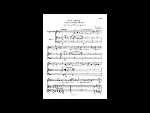 liszt und sprich s 329