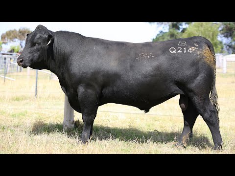 GRANITE RIDGE QUARTZ Q214