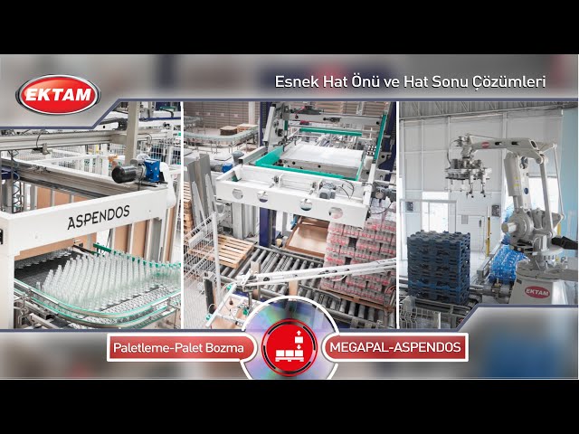 Paletleme Çözümleri