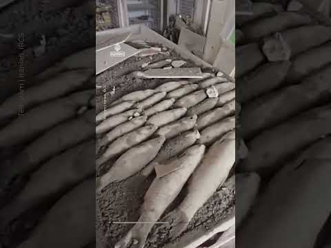 Iranian Red Crescent video shows destruction of Isfahan market