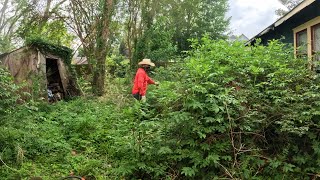 Download lagu Everyone Ignored This Yard for Years – We Finally Brought It Back to Life mp3