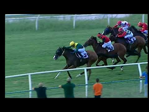 Napoli Galoppo 19/08/2022 - 5ª corsa