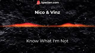 Nico &amp; Vinz - Know What I'm Not ~Unofficial Visualizer~