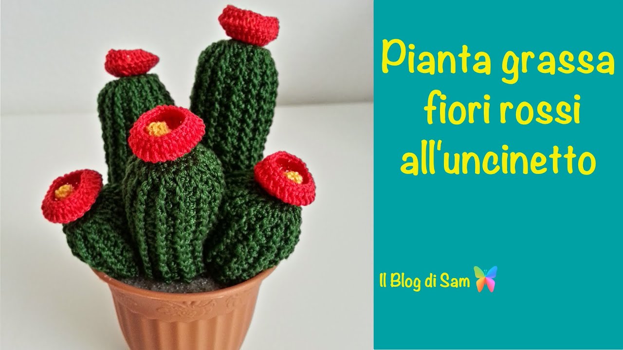Watch Now Spiegazione della pianta grassa all'uncinetto con i Fiori rossi Spiegazione della pianta grassa all'uncinetto con i Fiori rossi